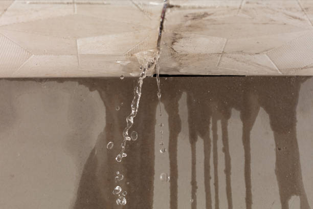 Professional Sewage Cleanup technician working in Harvey, LA